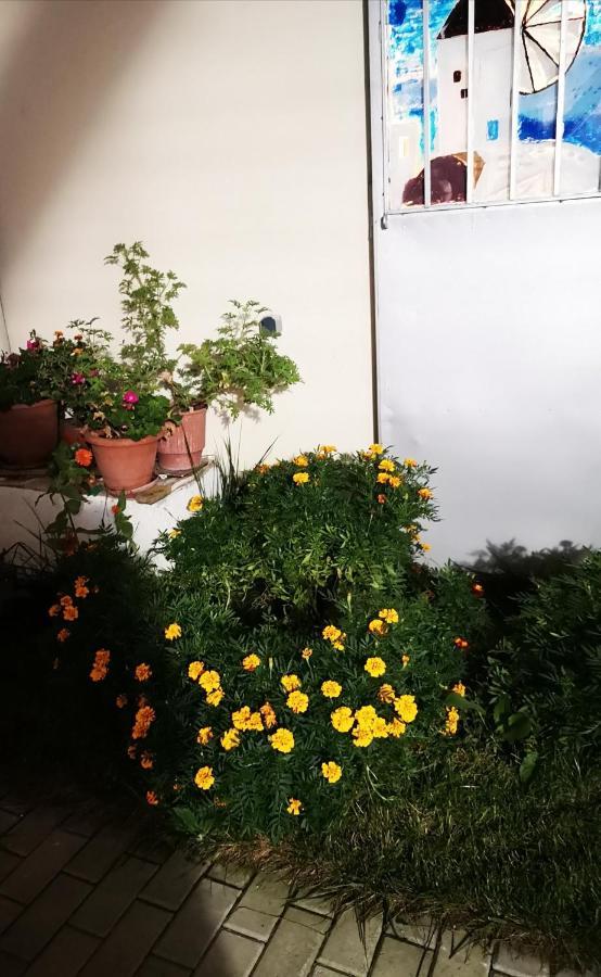 瑙萨玛西亚斯Iliana'S House公寓 外观 照片
